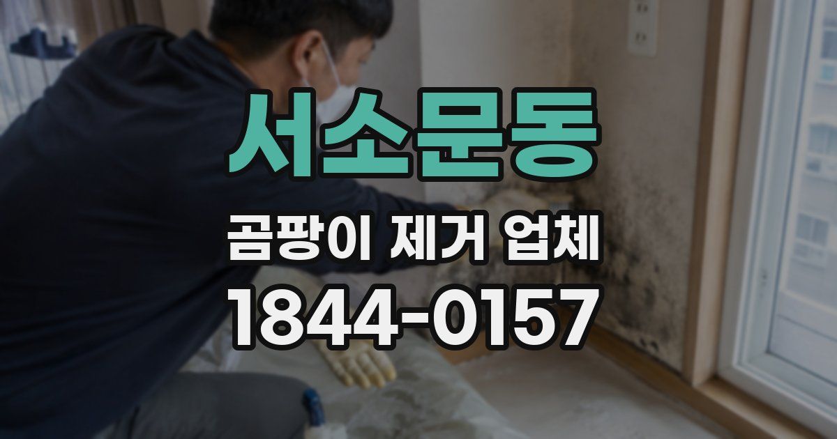 서소문동 곰팡이 제거 업체
