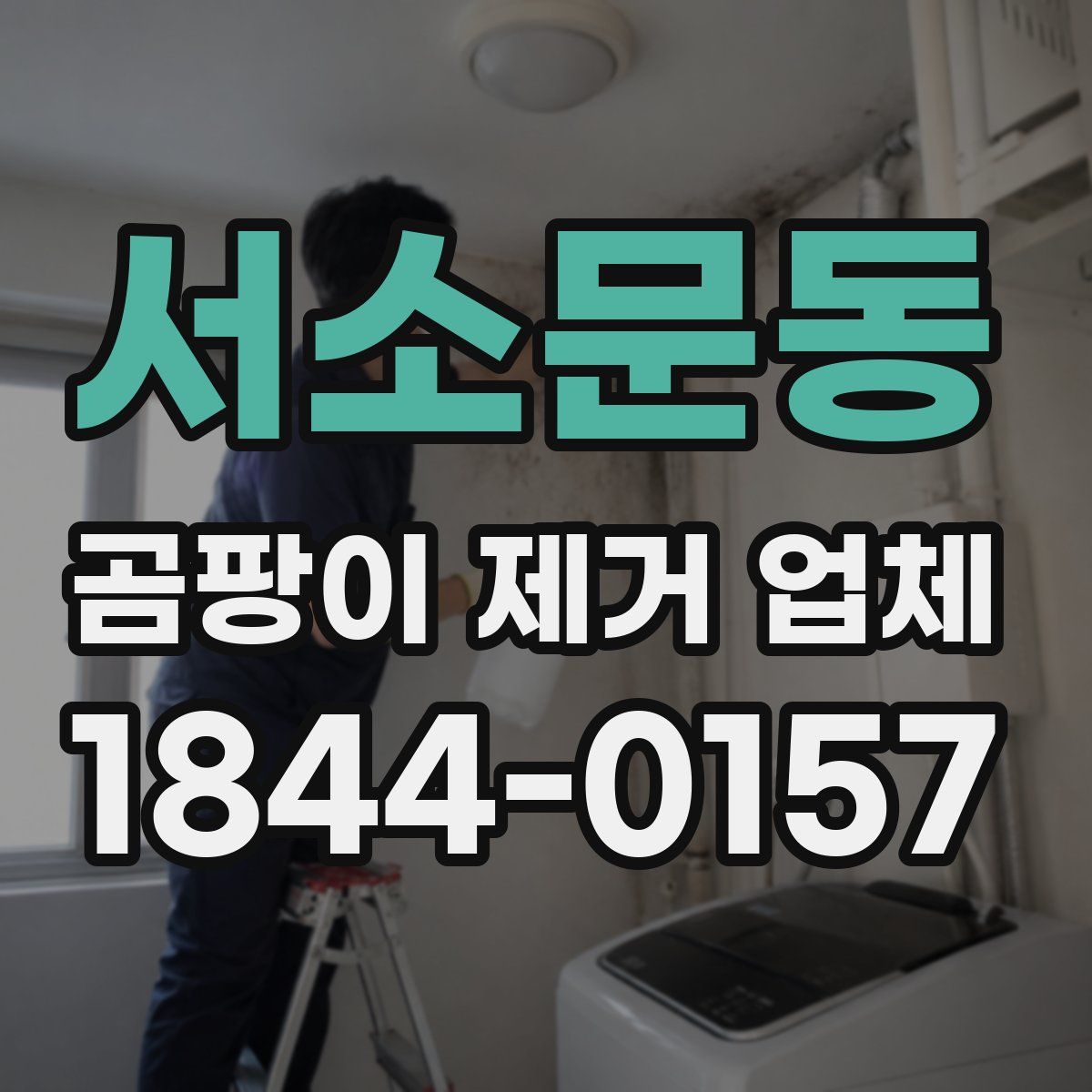 서소문동 곰팡이 제거 업체