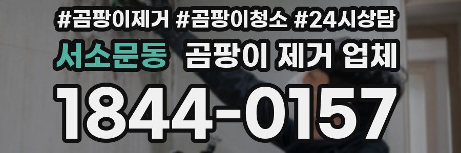 서소문동 곰팡이 제거 업체