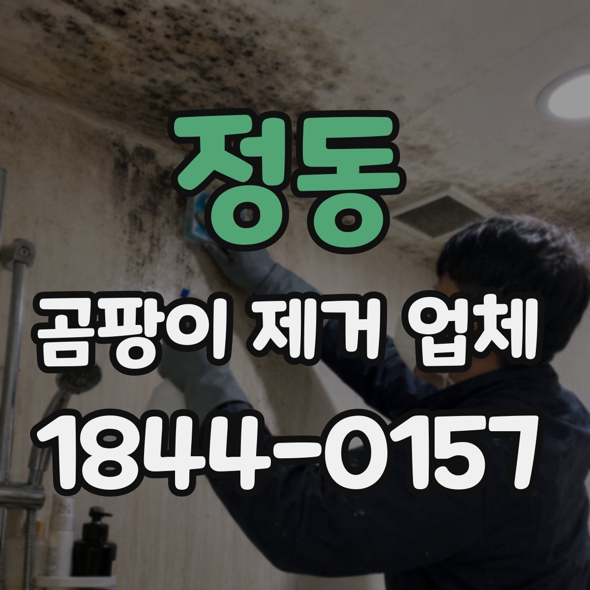 정동 곰팡이 제거 업체