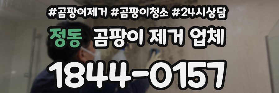 정동 곰팡이 제거 업체