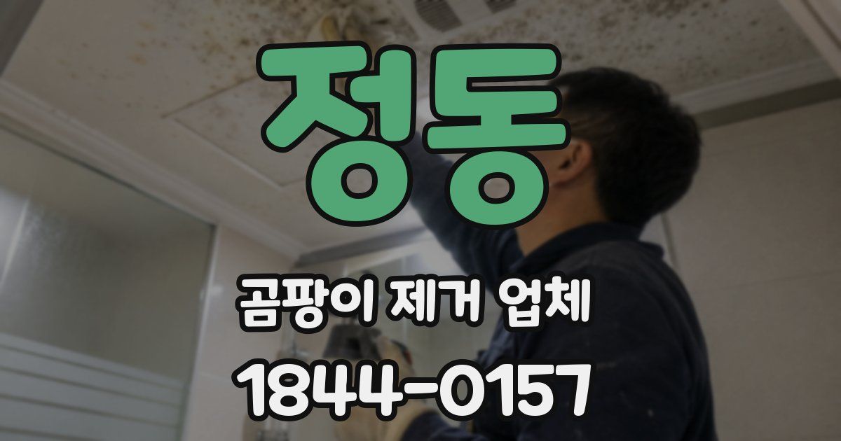 정동 곰팡이 제거 업체