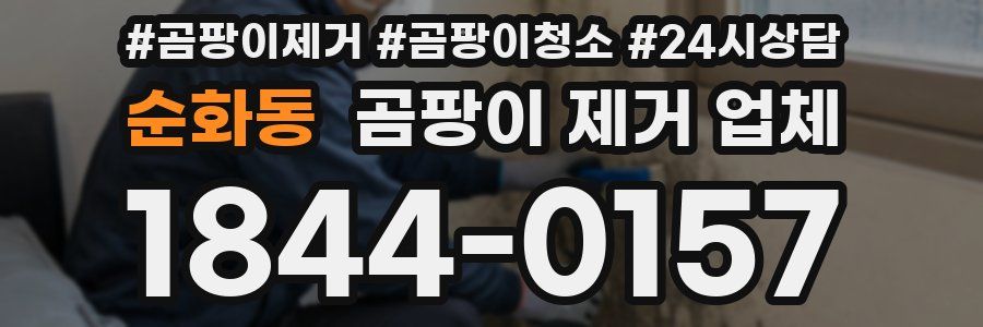 순화동 곰팡이 제거 업체