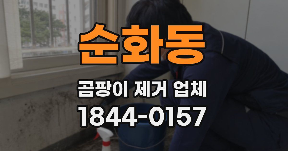 순화동 곰팡이 제거 업체