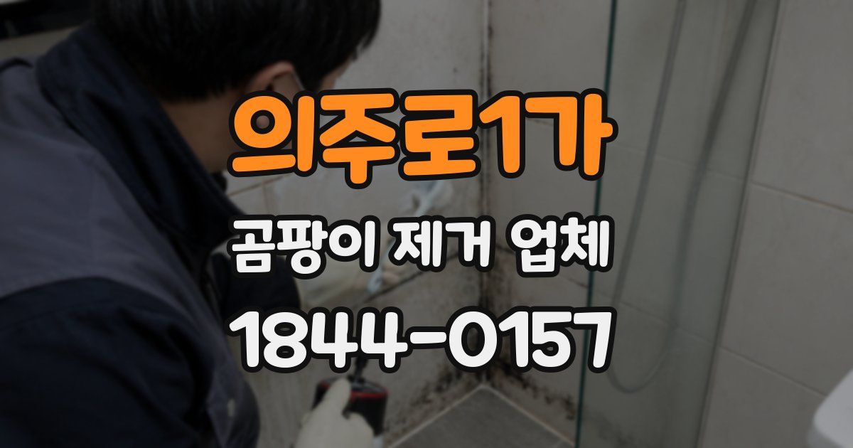 의주로1가 곰팡이 제거 업체