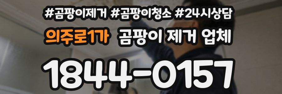 의주로1가 곰팡이 제거 업체
