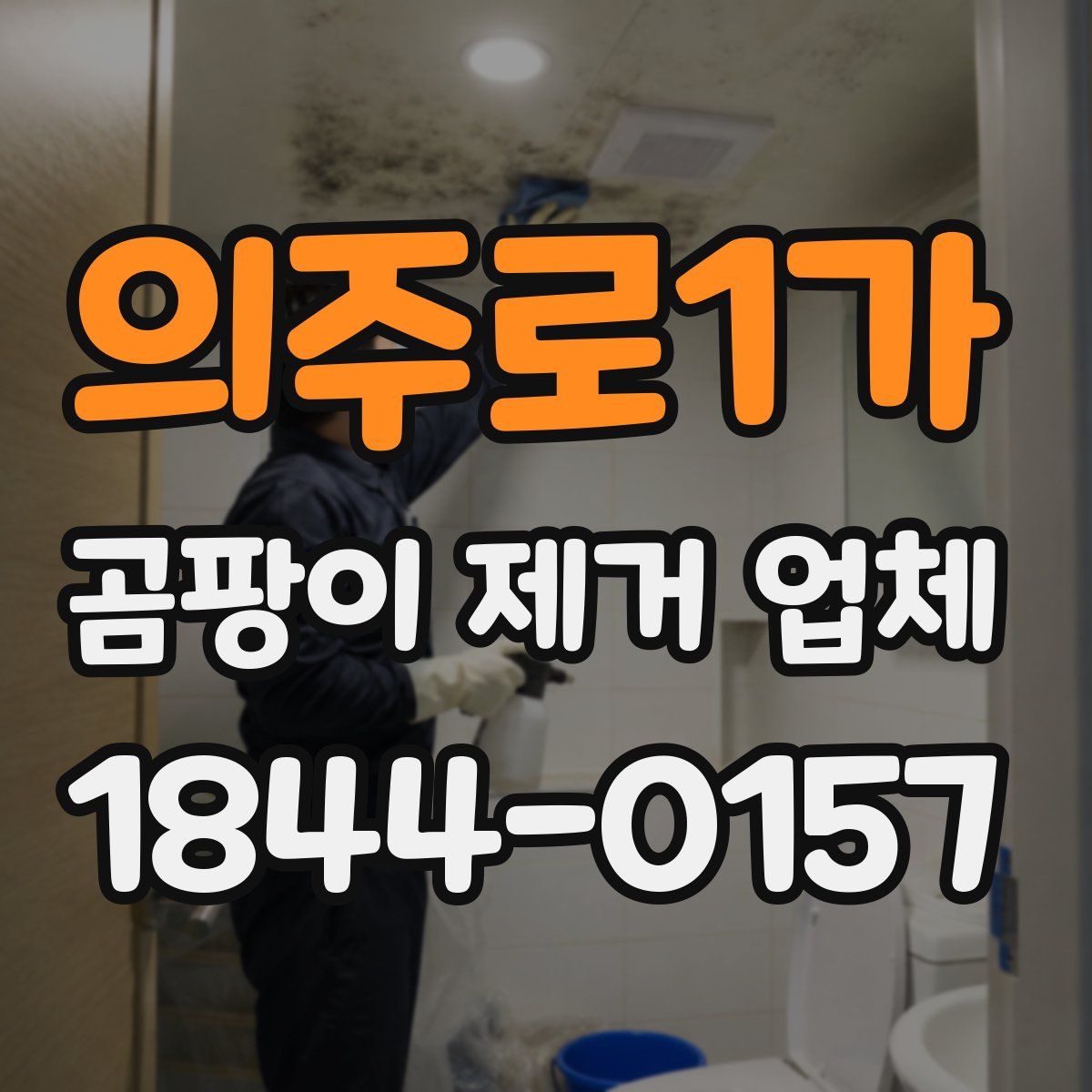 의주로1가 곰팡이 제거 업체