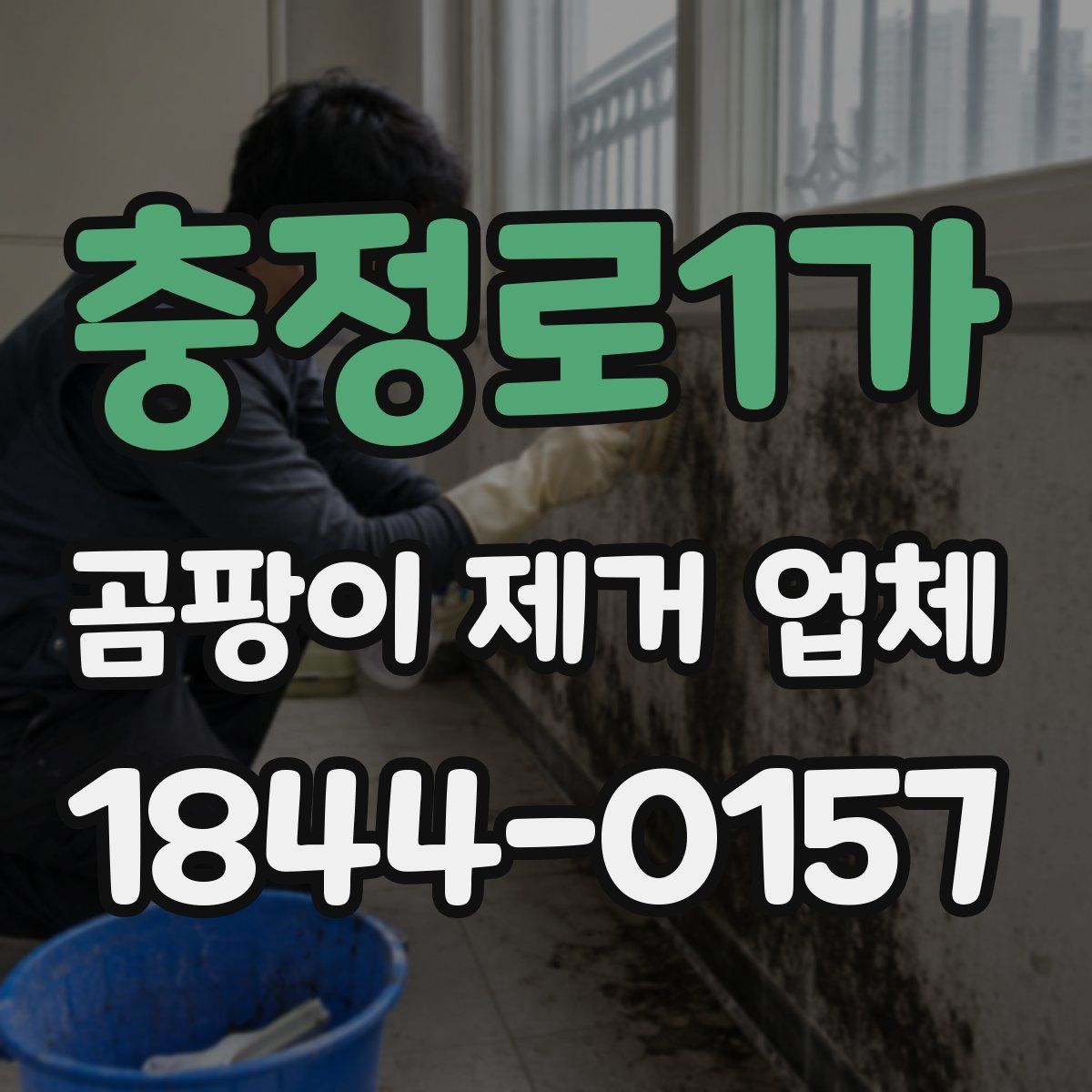 충정로1가 곰팡이 제거 업체
