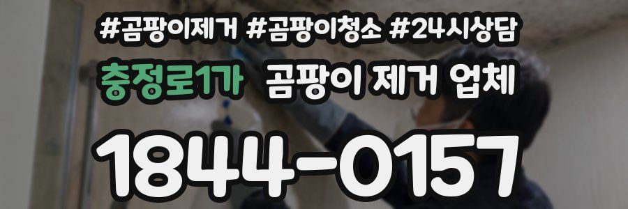 충정로1가 곰팡이 제거 업체