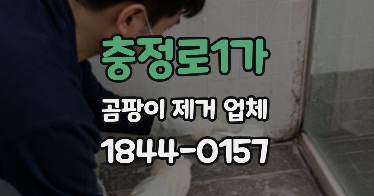 충정로1가 곰팡이 제거 업체