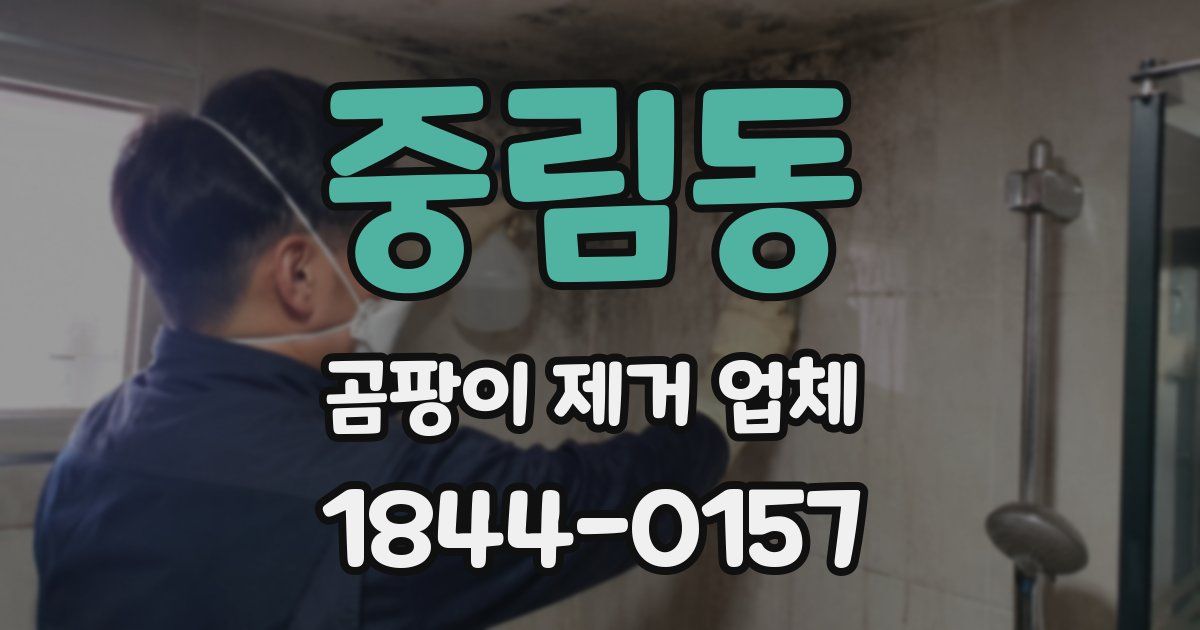 중림동 곰팡이 제거 업체