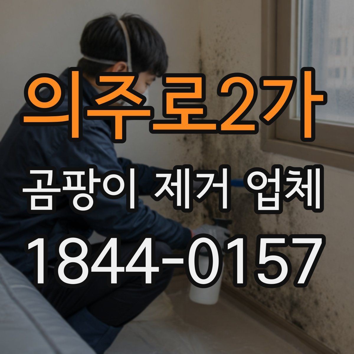 의주로2가 곰팡이 제거 업체 작업 전 사진진단으로 현장 상태 확인하는 법