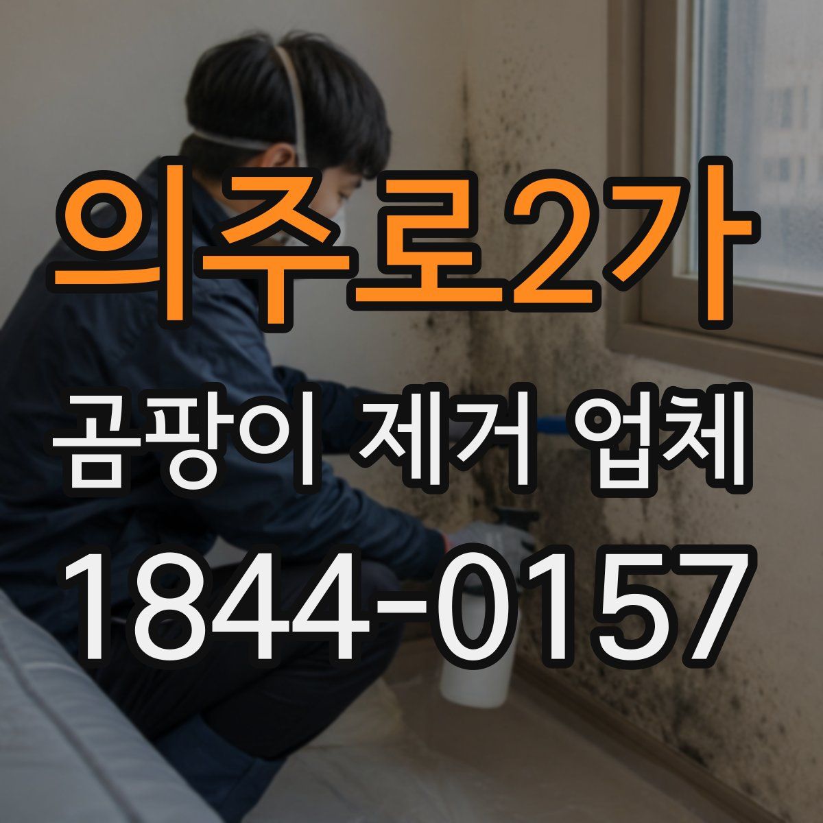 의주로2가 곰팡이 제거 업체