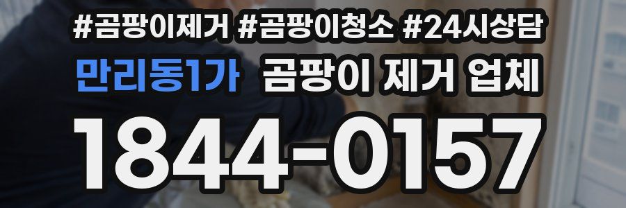 만리동1가 곰팡이 제거 업체