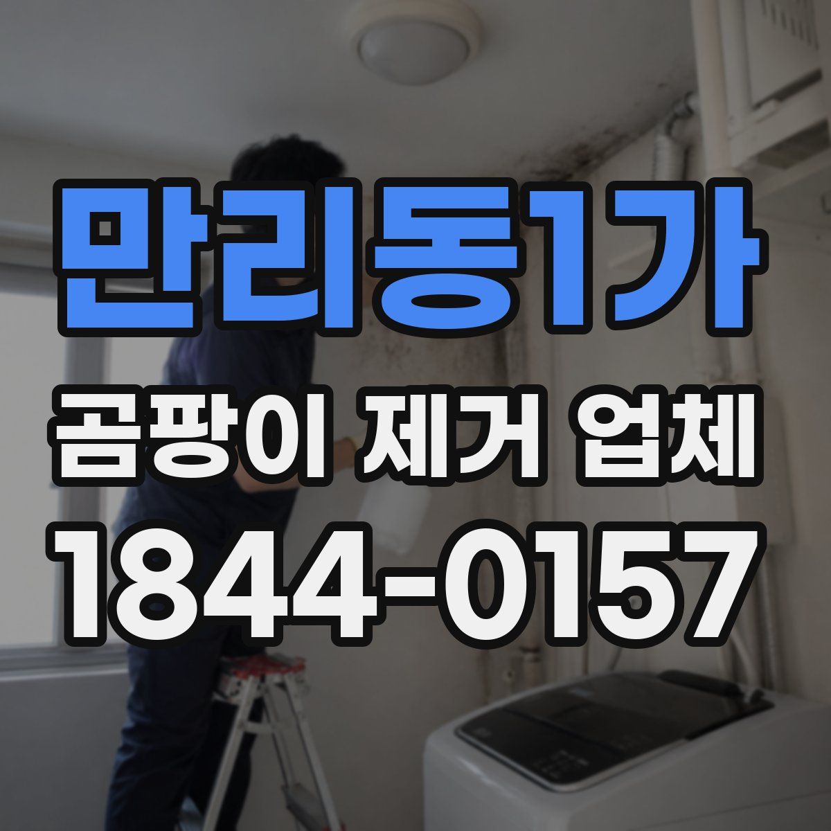 만리동1가 곰팡이 제거 업체
