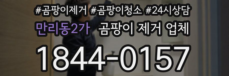 만리동2가 곰팡이 제거 업체