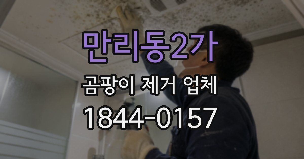 만리동2가 곰팡이 제거 업체