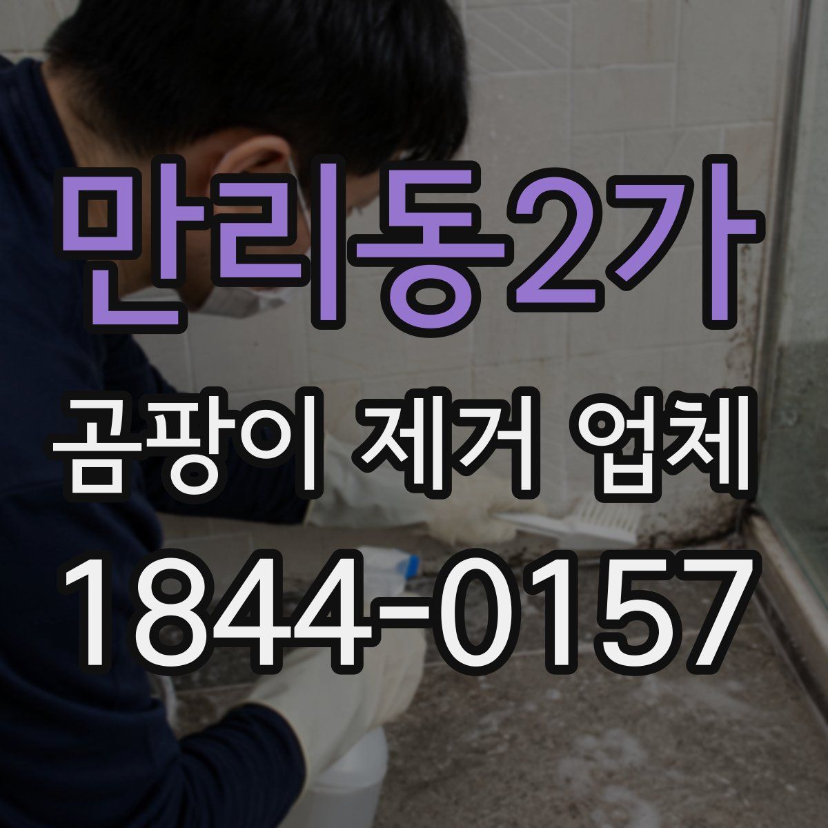 만리동2가 곰팡이 제거 업체