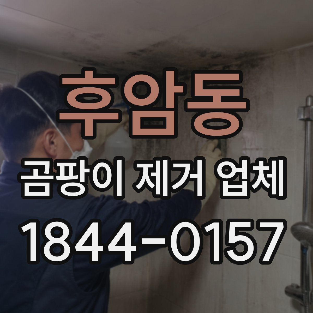 후암동 곰팡이 제거 업체