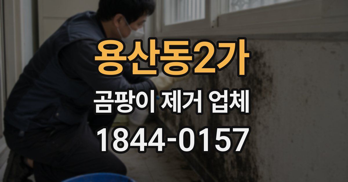용산동2가 곰팡이 제거 업체