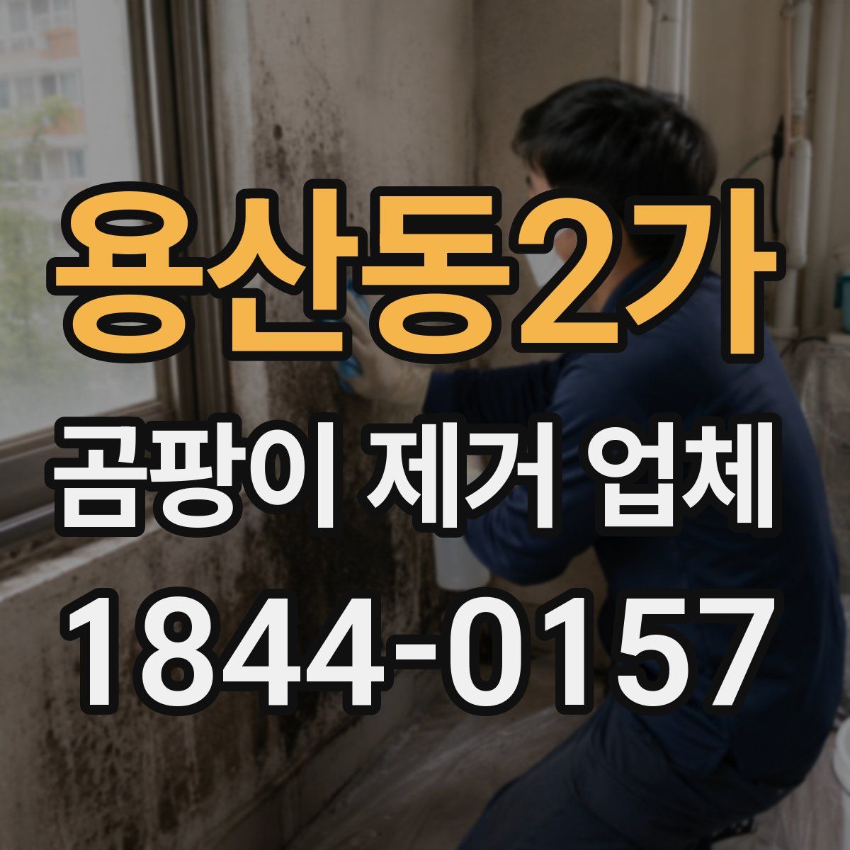 용산동2가 곰팡이 제거 업체