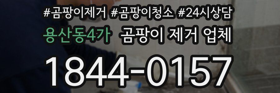 용산동4가 곰팡이 제거 업체