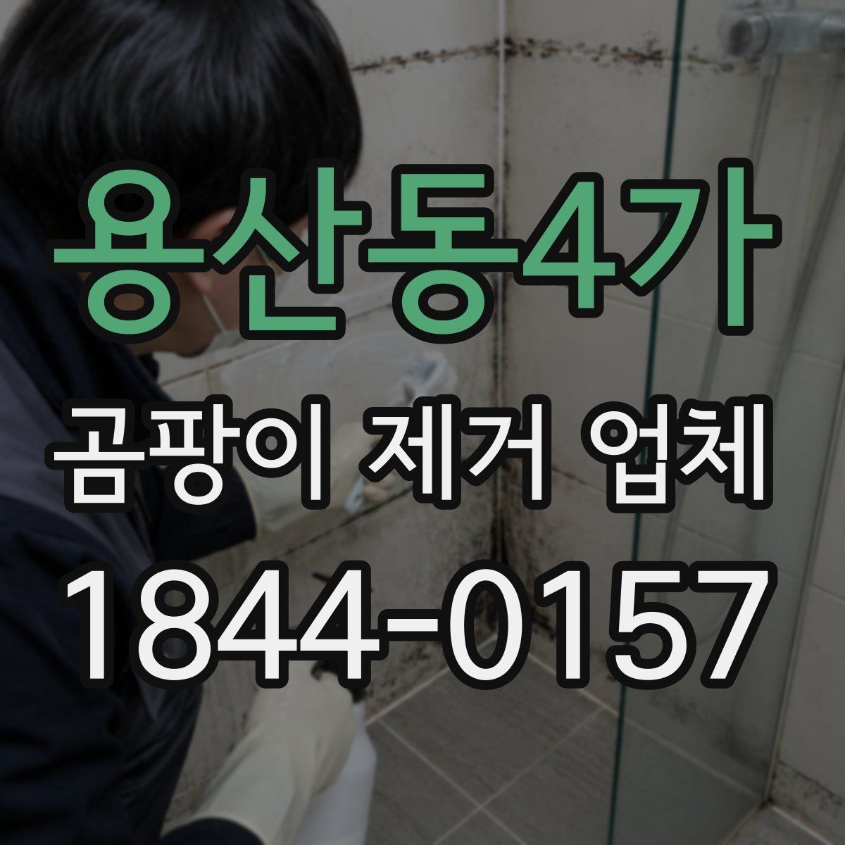 용산동4가 곰팡이 제거 업체