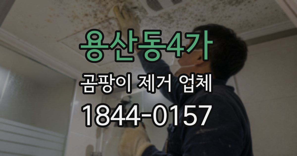 용산동4가 곰팡이 제거 업체
