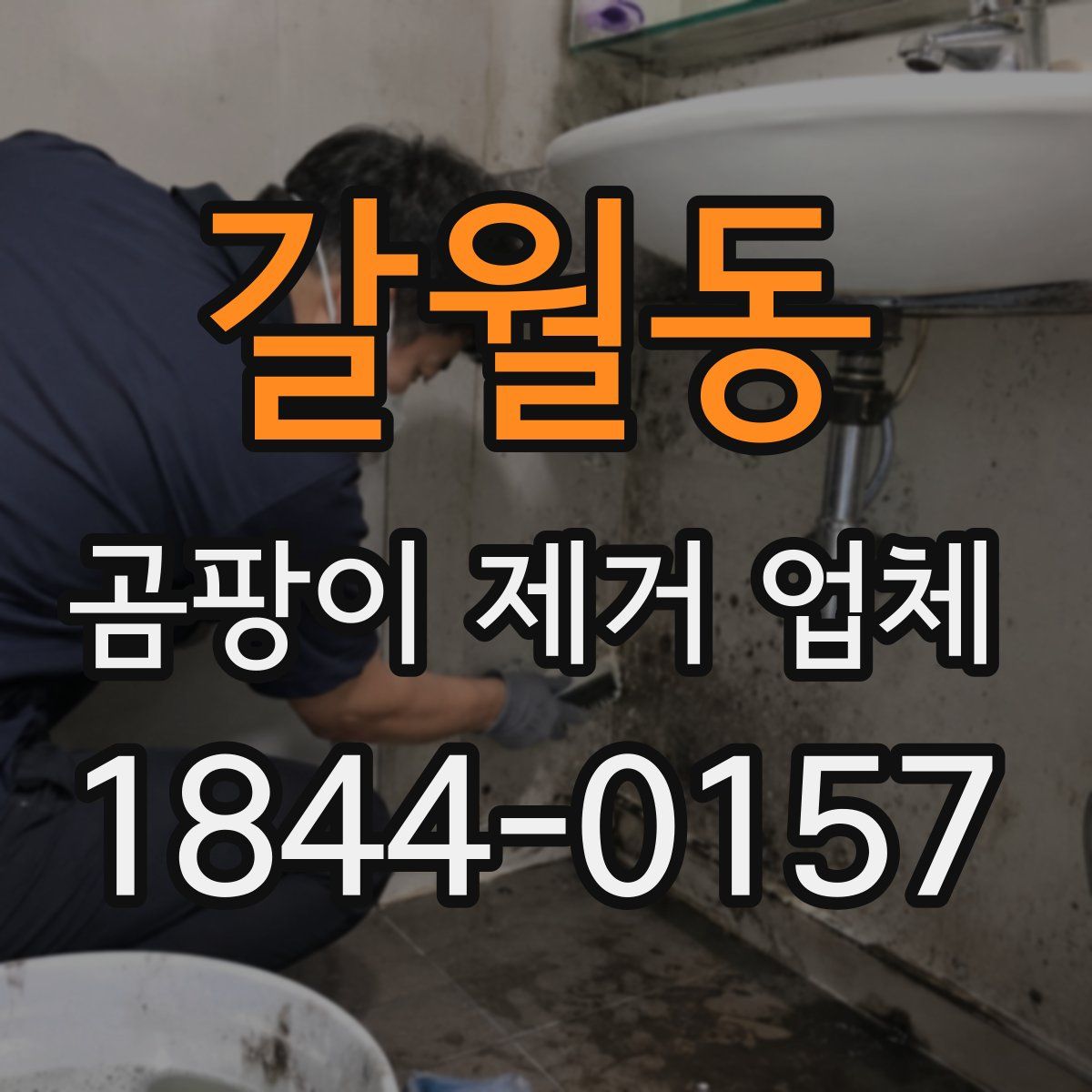 갈월동 곰팡이 제거 업체