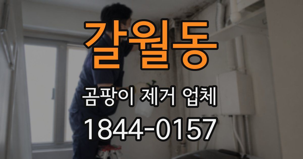 갈월동 곰팡이 제거 업체