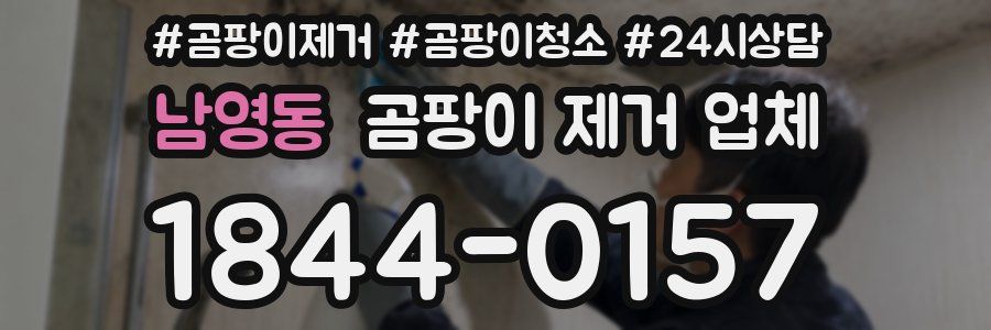 남영동 곰팡이 제거 업체