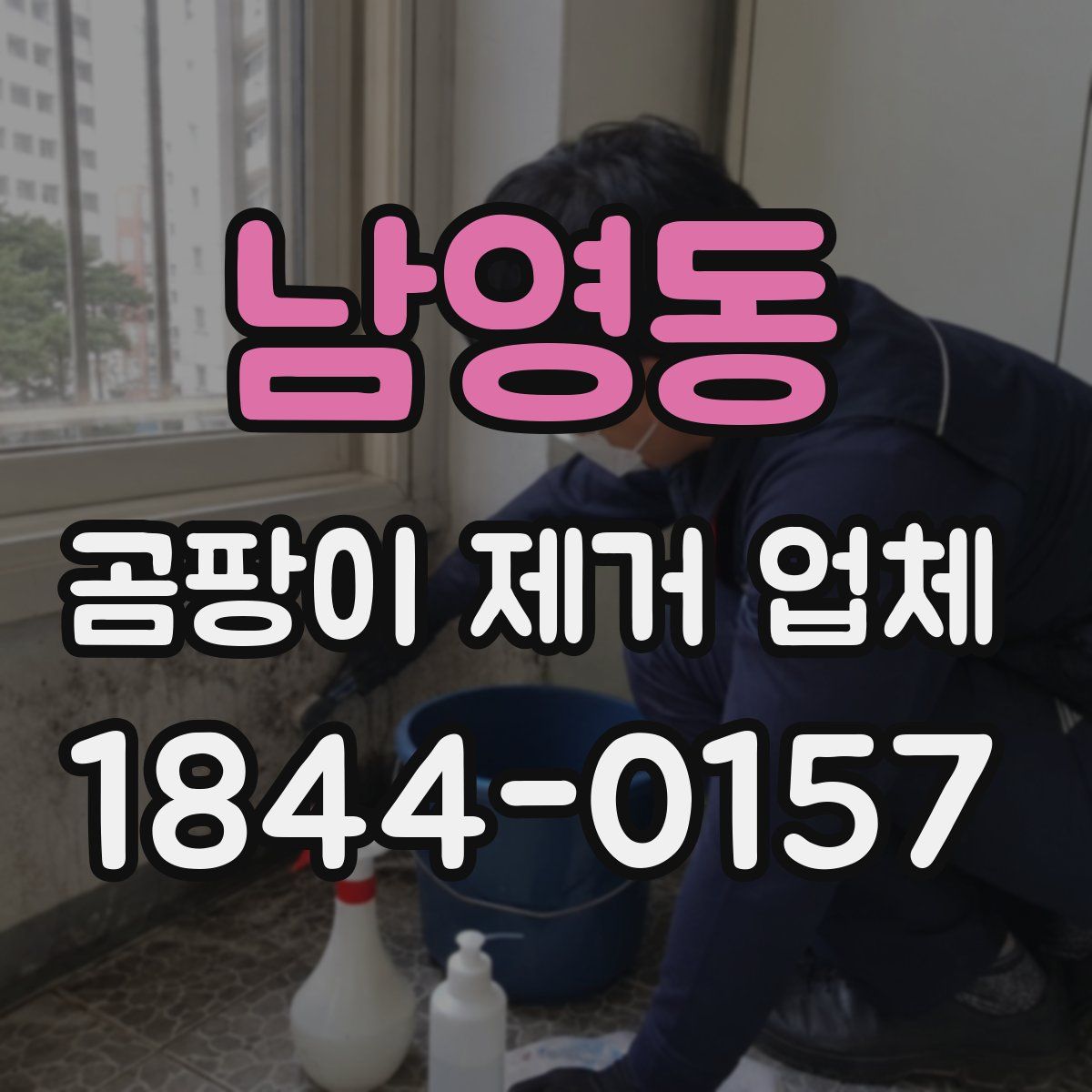 남영동 곰팡이 제거 업체
