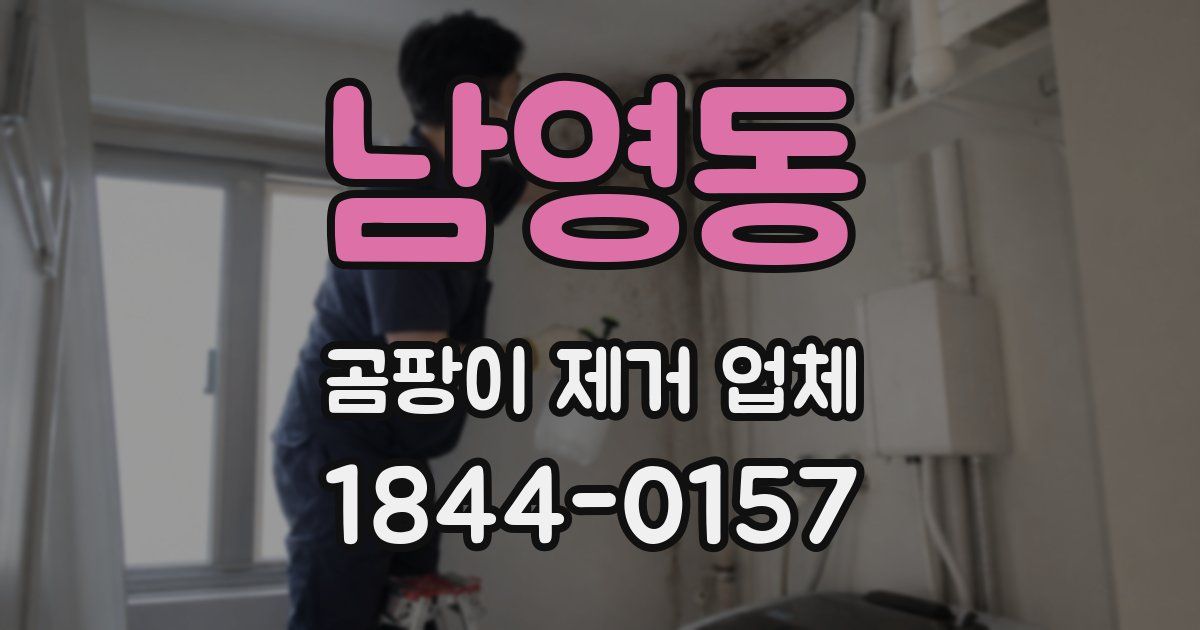 남영동 곰팡이 제거 업체