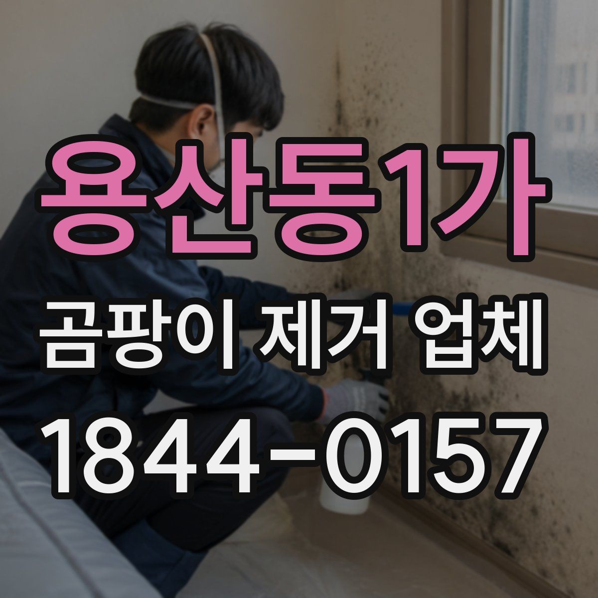 용산동1가 곰팡이 제거 업체