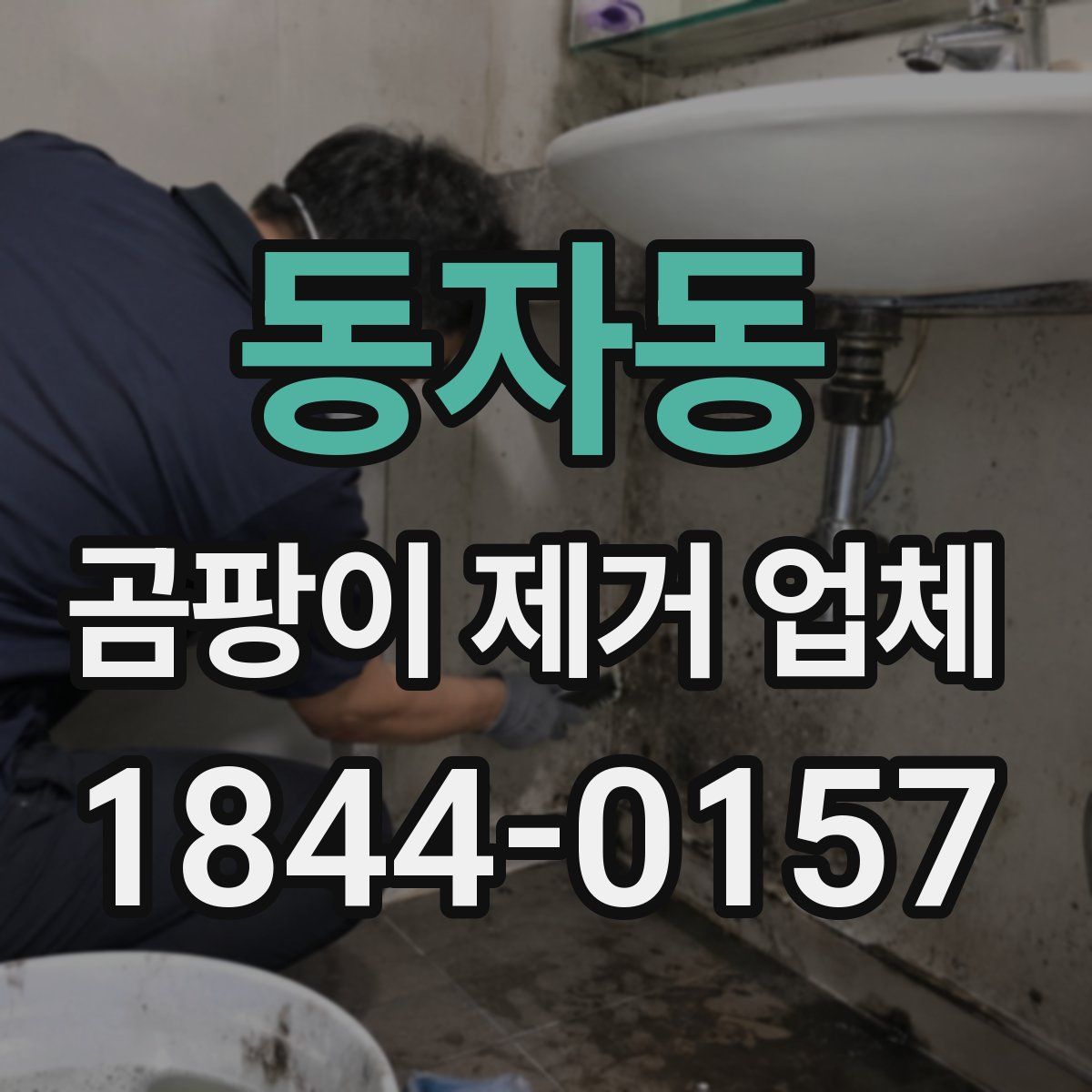 동자동 곰팡이 제거 업체