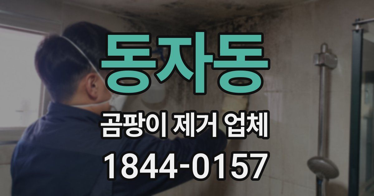동자동 곰팡이 제거 업체