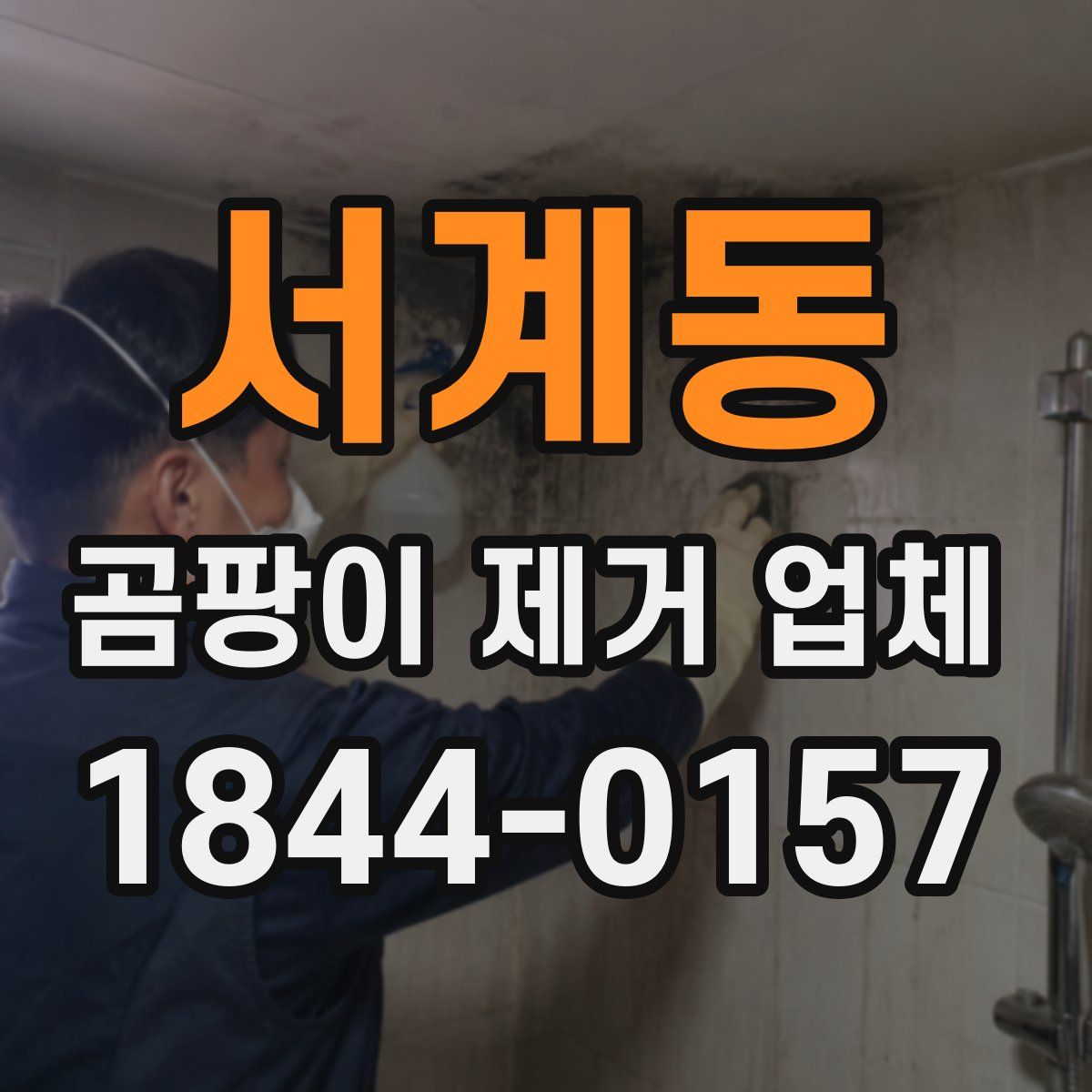 서계동 곰팡이 제거 업체