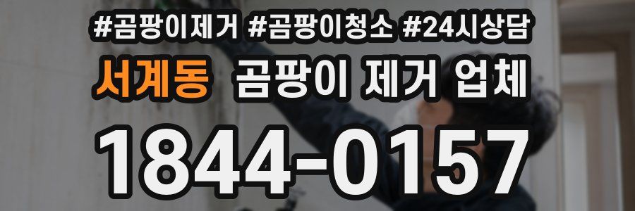 서계동 곰팡이 제거 업체