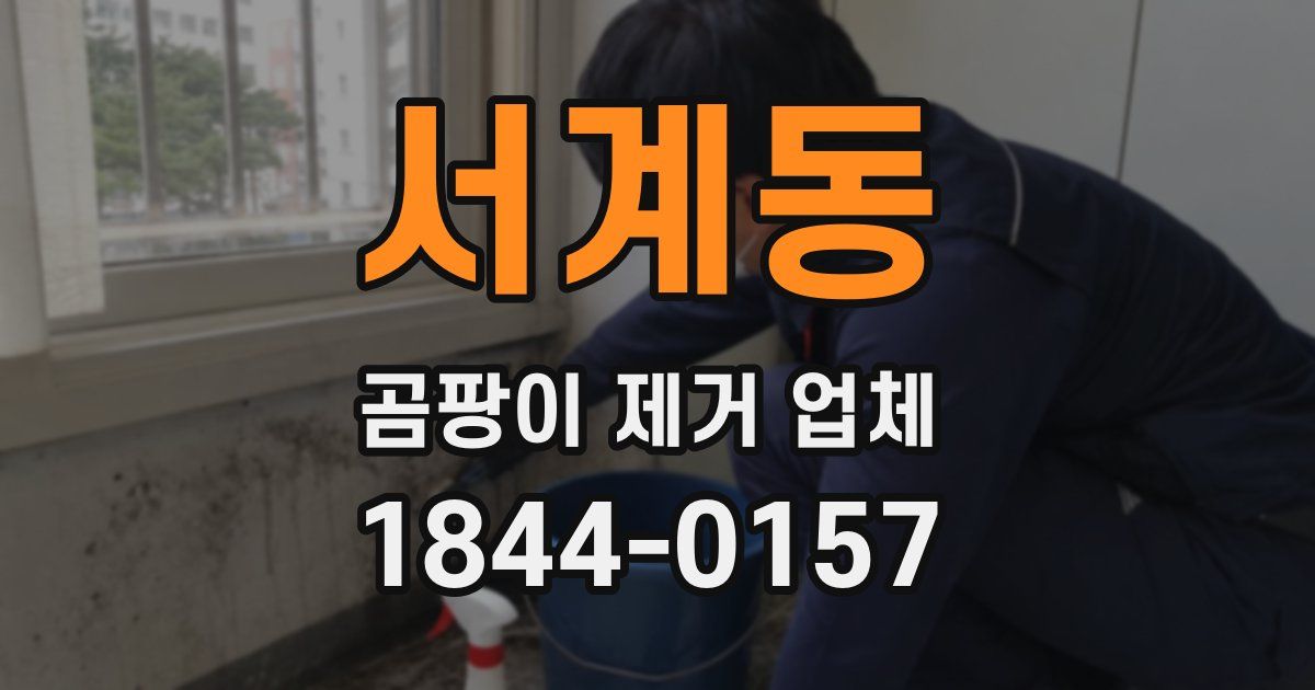 서계동 곰팡이 제거 업체