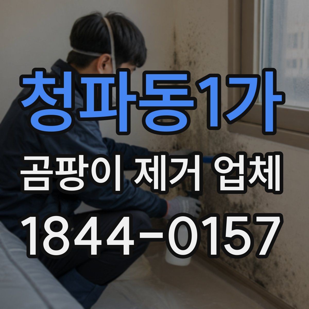 청파동1가 곰팡이 제거 업체 색이 짙은 오염과 옅은 흔적을 구분하는 법