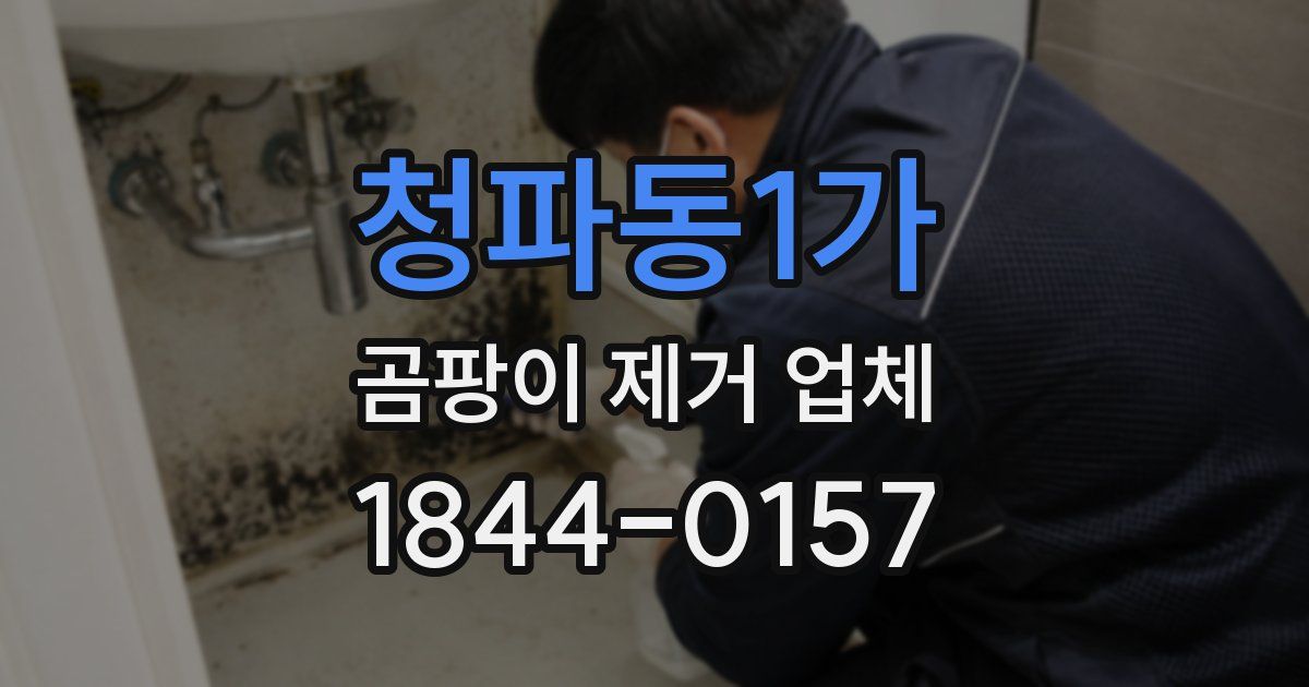 청파동1가 곰팡이 제거 업체