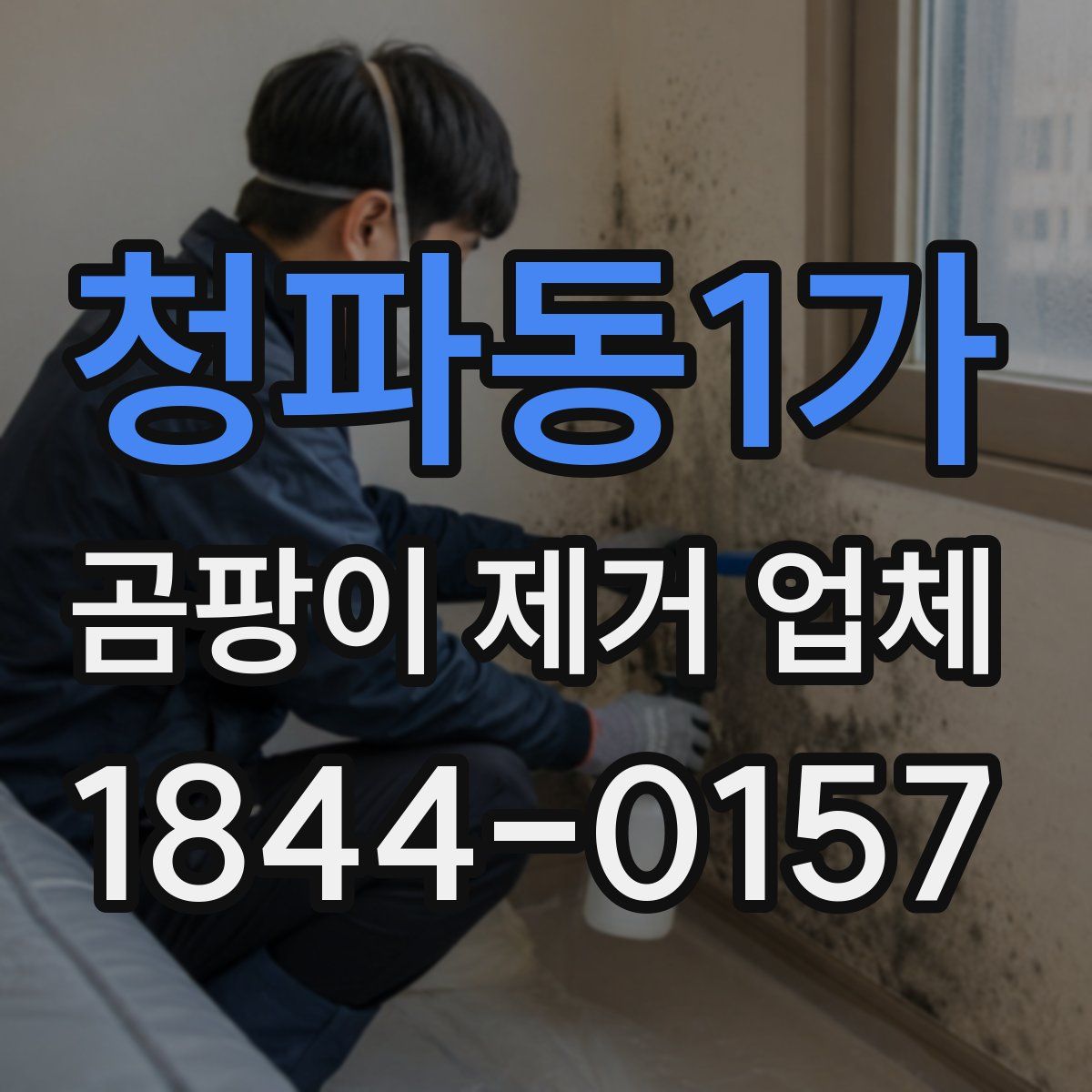 청파동1가 곰팡이 제거 업체