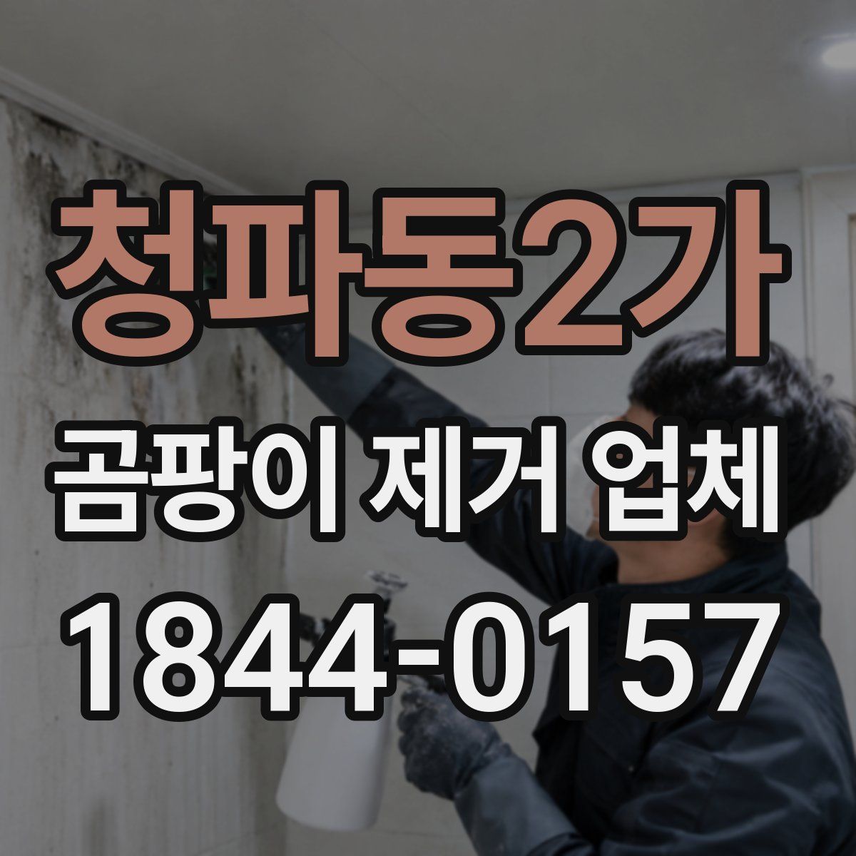 청파동2가 곰팡이 제거 업체