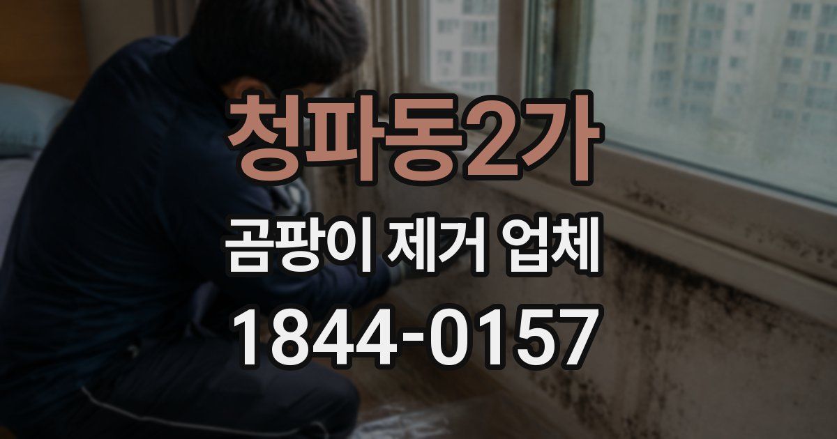 청파동2가 곰팡이 제거 업체