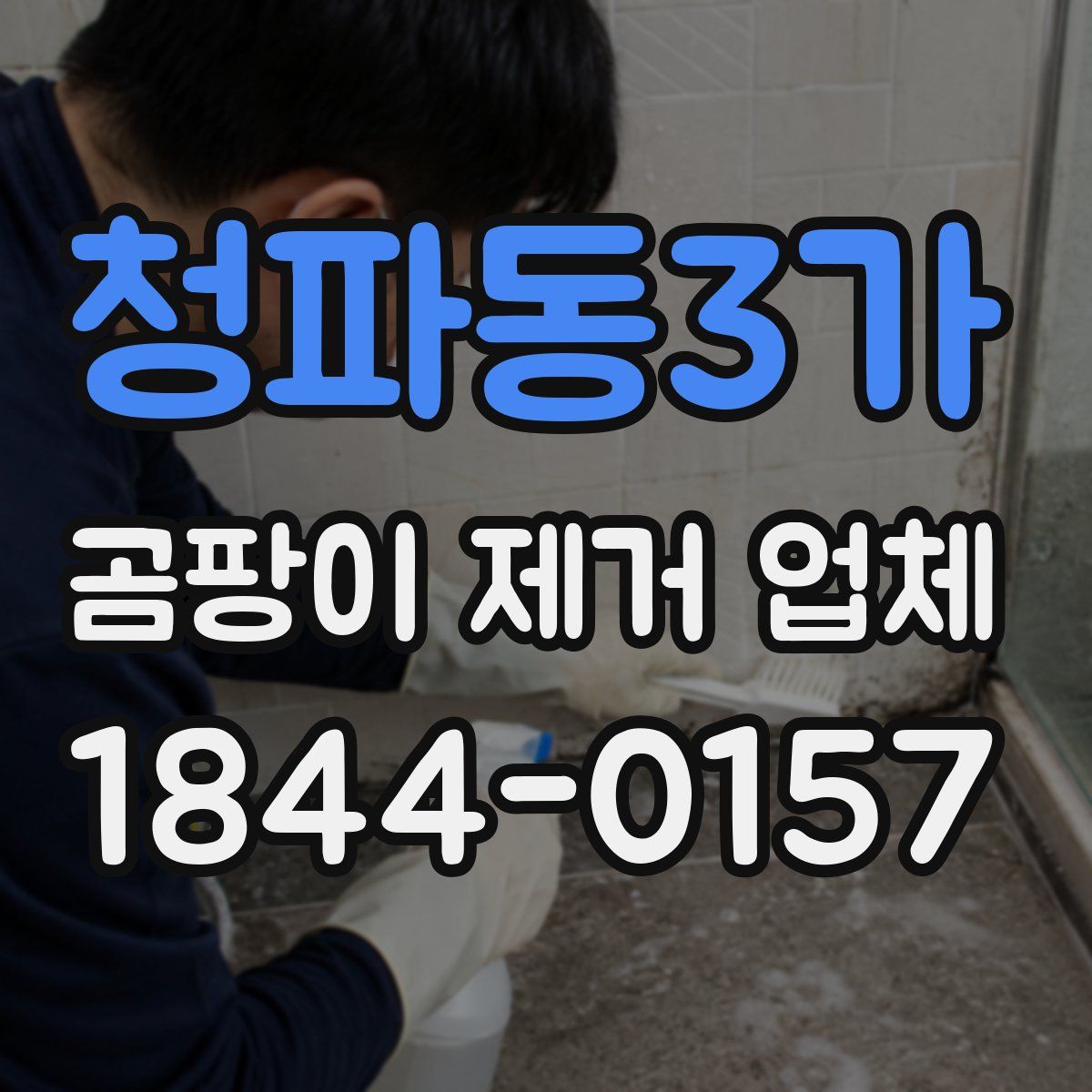 청파동3가 곰팡이 제거 업체