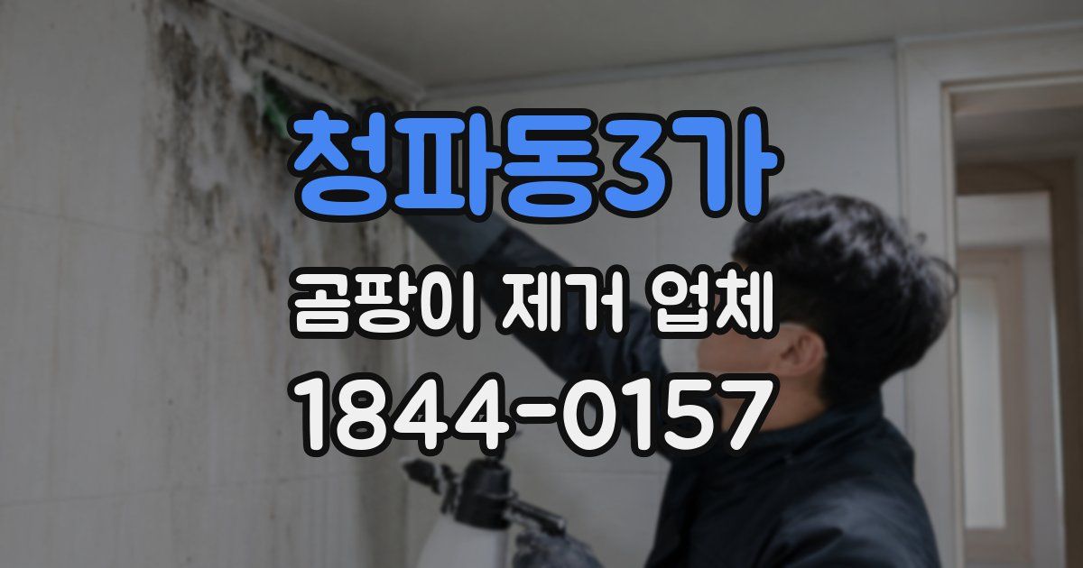 청파동3가 곰팡이 제거 업체