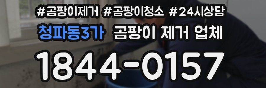 청파동3가 곰팡이 제거 업체