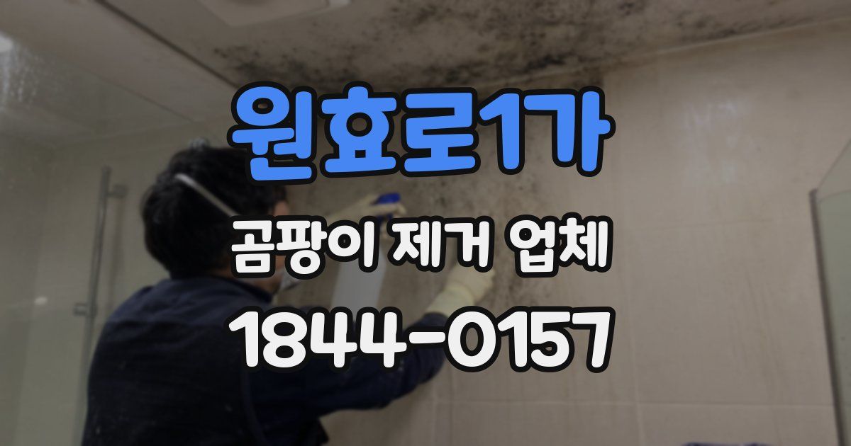 원효로1가 곰팡이 제거 업체