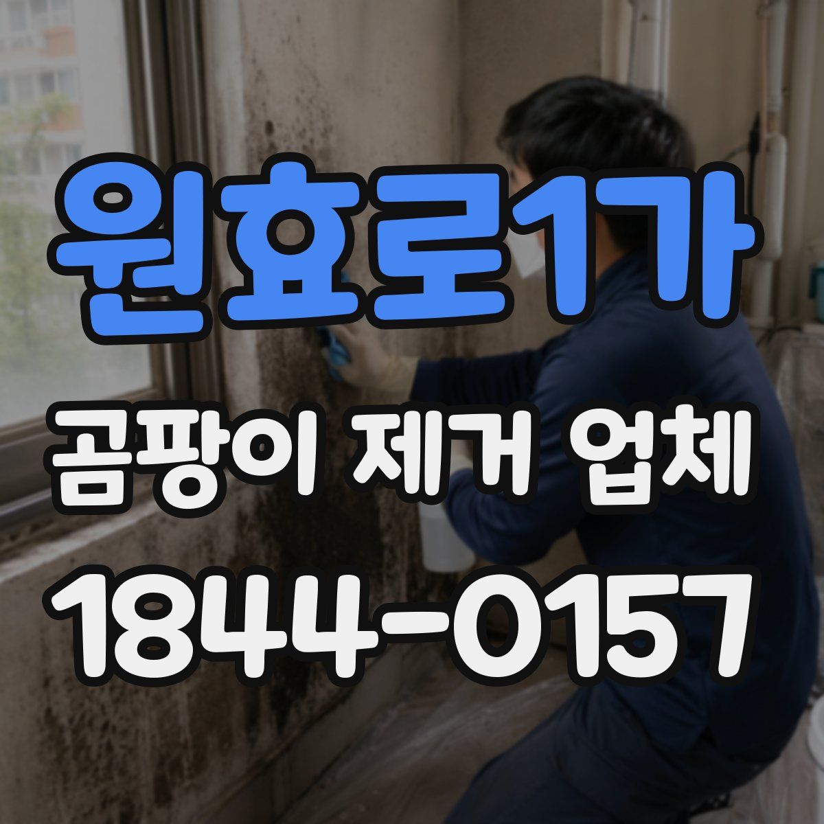 원효로1가 곰팡이 제거 업체