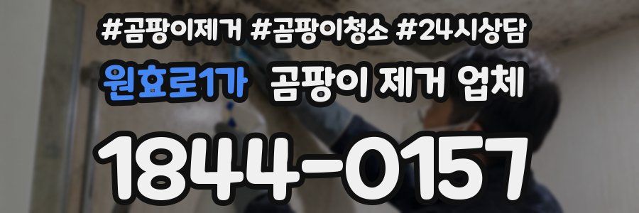 원효로1가 곰팡이 제거 업체